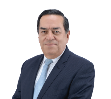 Consultorias