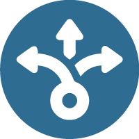 Estrategia de Diverisificación.