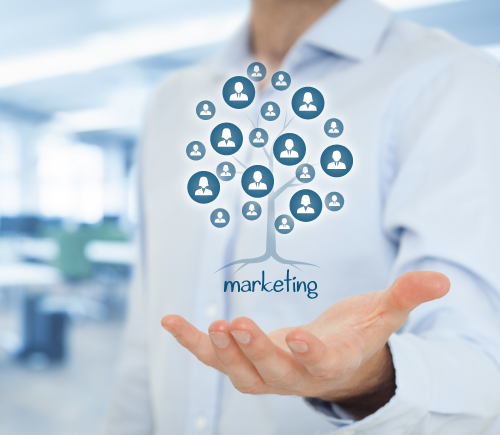 Estrategias de Clientes